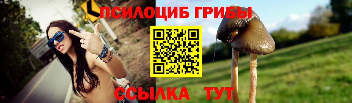 Галлюциногенные грибы GOLDEN TEACHER Владикавказ